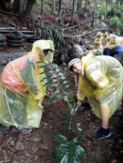 不畏風雨 體驗親手植樹樂趣